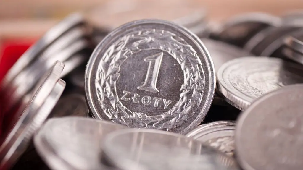 Ekonomistka o osłabieniu złotego: tendencja jest spadkowa