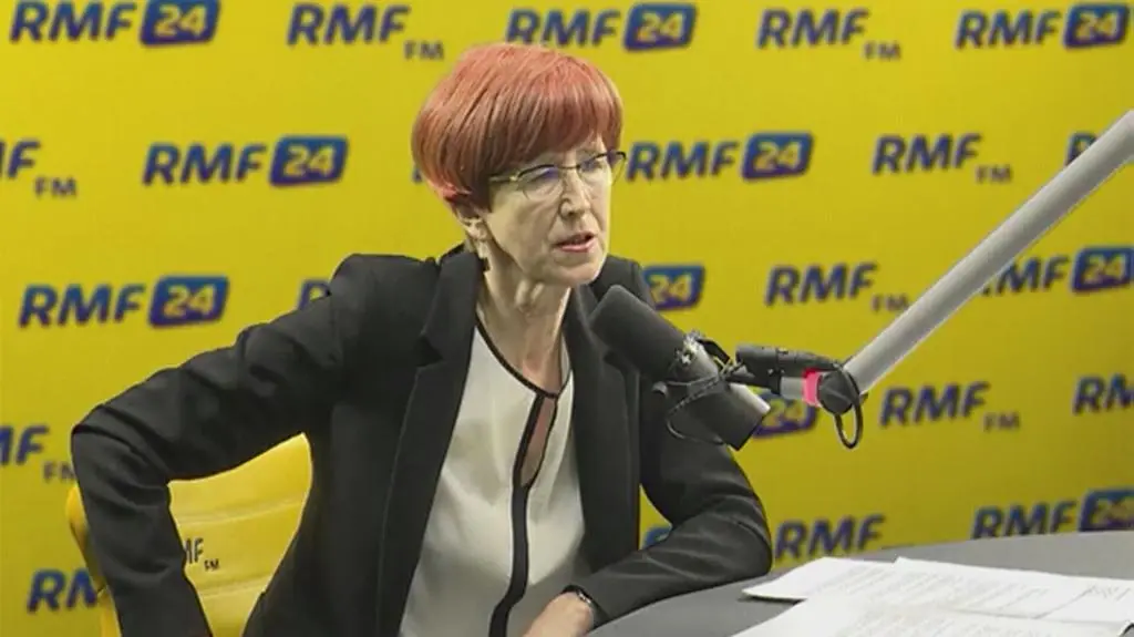 Elzbieta Rafalska o liczbie urodzeń w 2017 roku