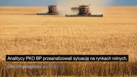 Jak będą kształtować się ceny w nadchodzącym roku?