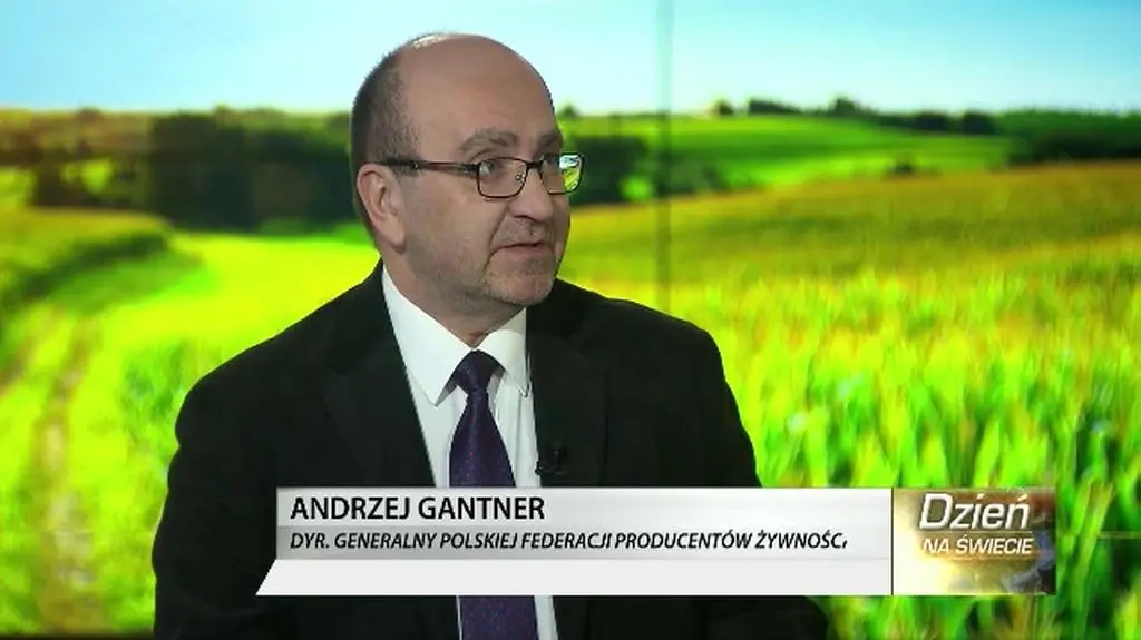 Kukurydza GMO w Unii jeszcze w tym roku? "Mało prawdopodobne" 