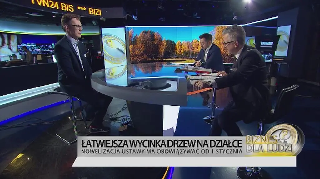 Łatwiejsza wycinka drzew na działce