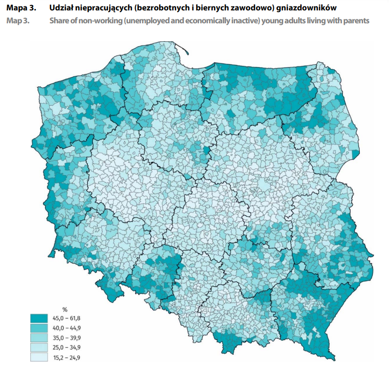 Gniazdownicy niepracujący