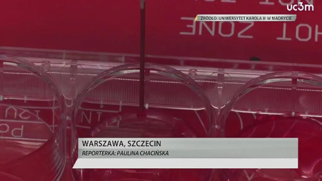 Ludzka skóra z drukarki 3D