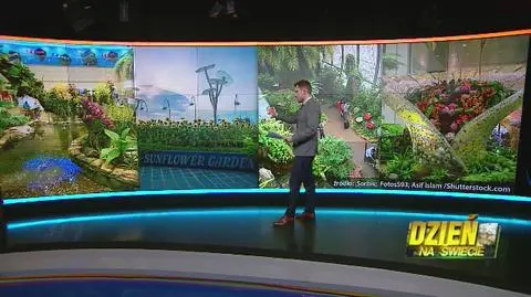 Najlepsze lotniska na świecie w 2019 roku