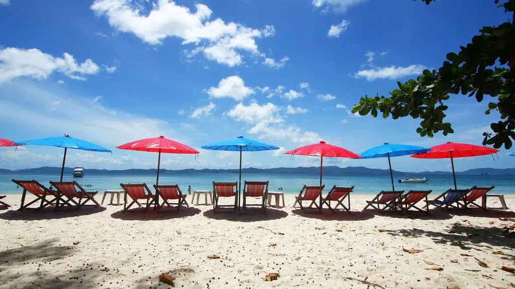 Oferty tańsze nawet o 40 procent