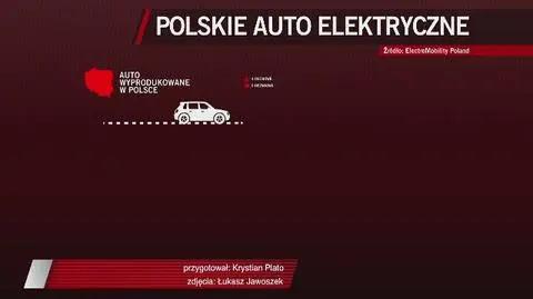 Polacy projektują wymarzony wóz elektryczny