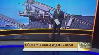 Polski węgiel w pigułce
