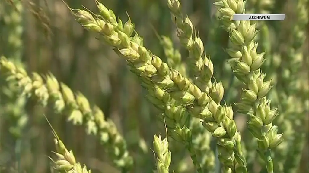 Prawnicy znaleźli lukę w ustawie o obrocie ziemią