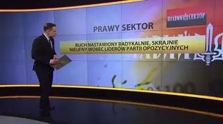 Prawy Sektor. Czy "rozsadzi" ukraińską scenę polityczną?