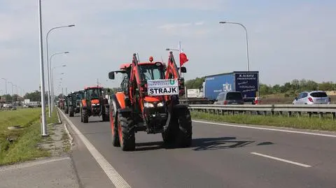 Prezes Unii Warzywno-Ziemniaczanej o protestach rolników