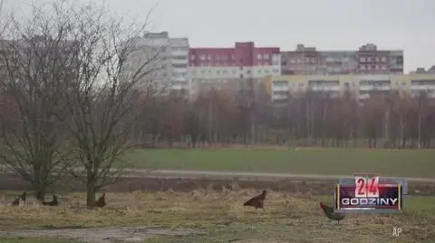 Protesty na Białorusi