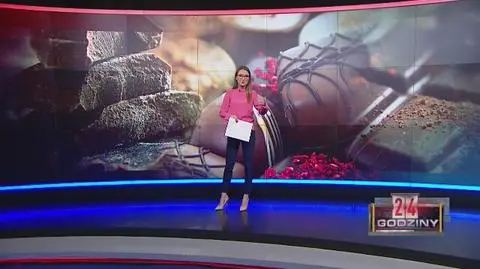 Przez ocieplenie klimatu zniknie czekolada, kawa i awokado 