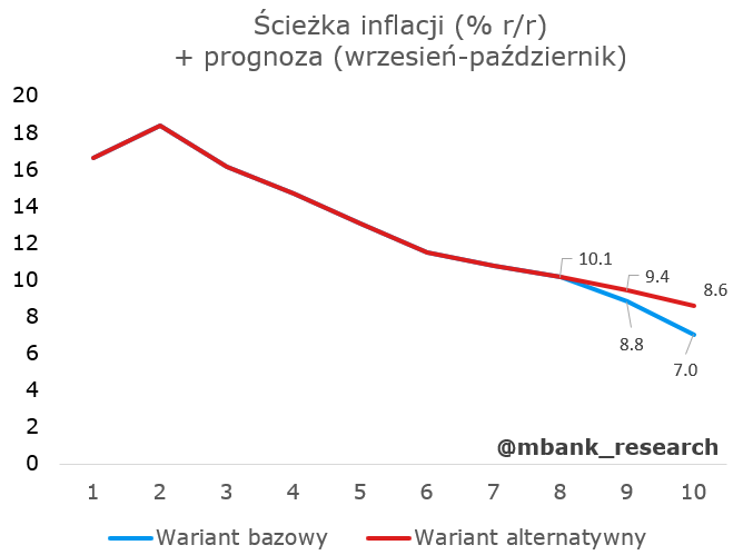 Aktualnie czytasz: Jak "anomalia na rynku paliwowym" wpływa na inflację? Ekonomiści o "potężnej różnicy"