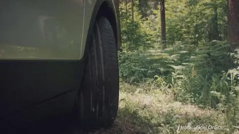 Samochód sam powiadomi o wypadku