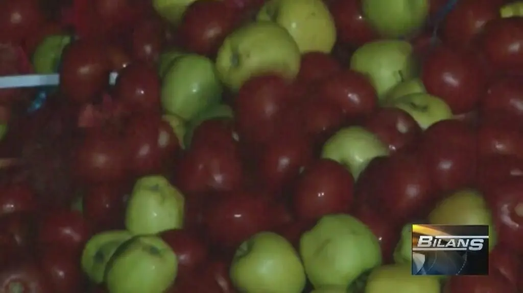 Szef rosyjskich mleczarni: trzeba niszczyć przemycaną żywność