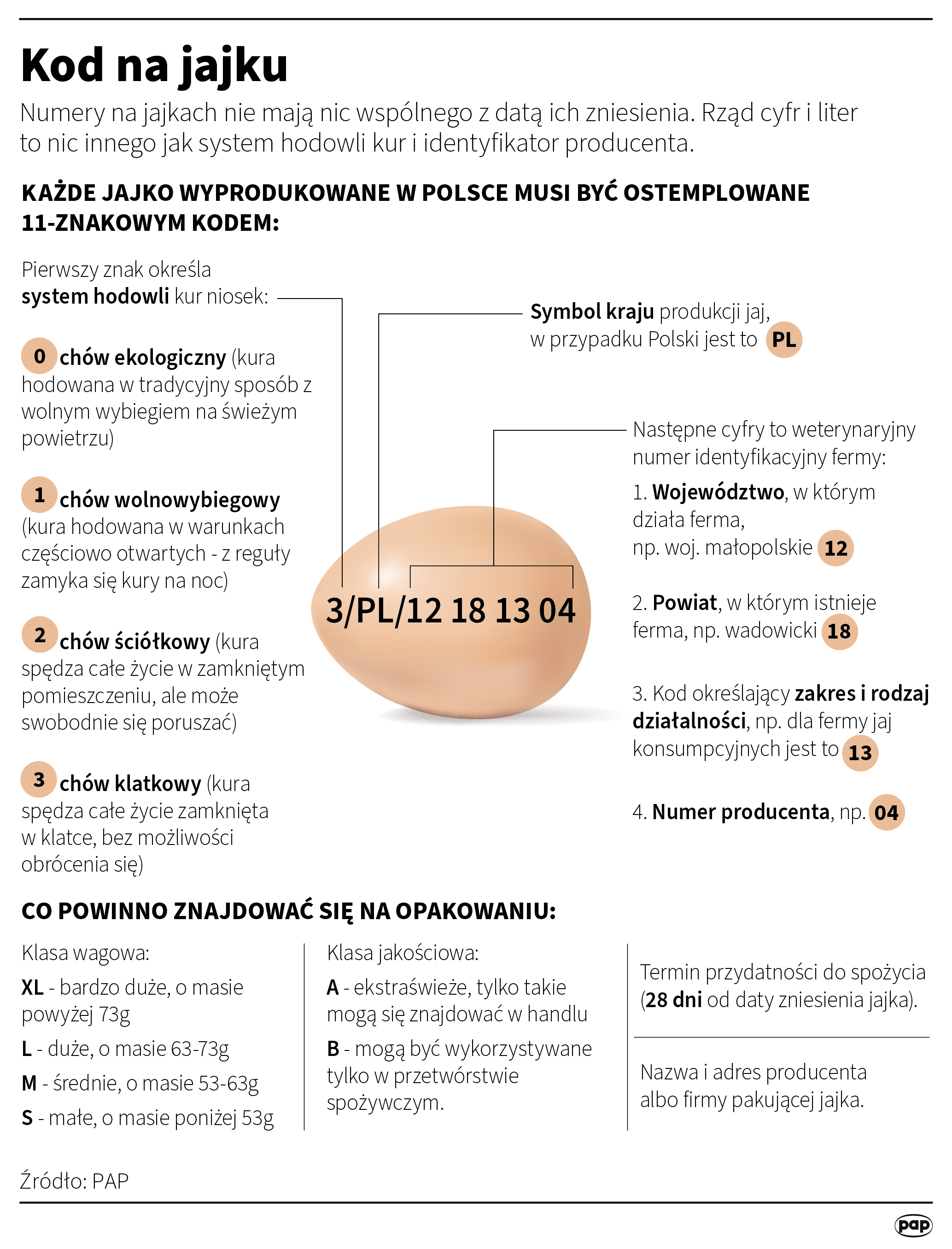 Infografika kod na jajkach
