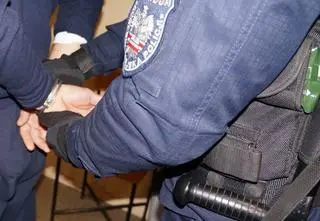"Krzyczał, że policjanci są przebierańcami", pod opieką miał małego chłopca