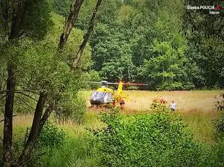 82-latek zaginął na spacerze w lesie