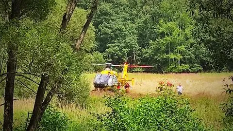82-latek zaginął na spacerze w lesie