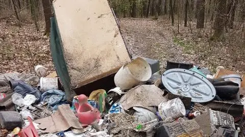 Posprzątali stodołę i pijani pojechali wyrzucić śmieci do lasu. Policja: złamali zakaz przemieszczenia się