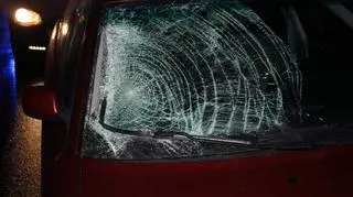 Nastolatka potrącona na pasach czekała na karetkę pół godziny