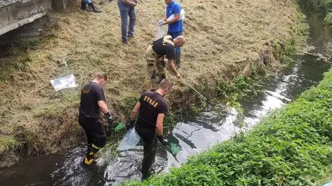 Setki martwych ryb w Warcie w Zawierciu