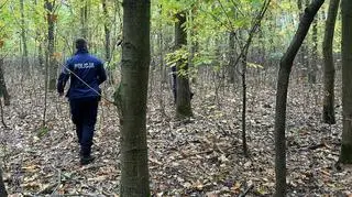 Poszukiwanie grzybiarza w Błędowie