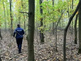 Poszukiwanie grzybiarza w Błędowie