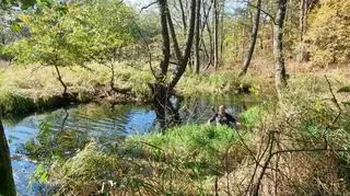 Poszukiwanie w korycie rzeki