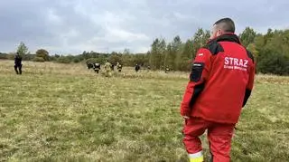 Poszukiwanie grzybiarza w Błędowie