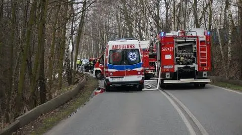 Uderzył w drzewo, spłonął. Ustalają, kim był