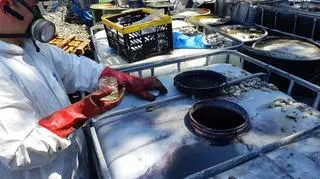 Ponad sto litrów niebezpiecznych odpadów