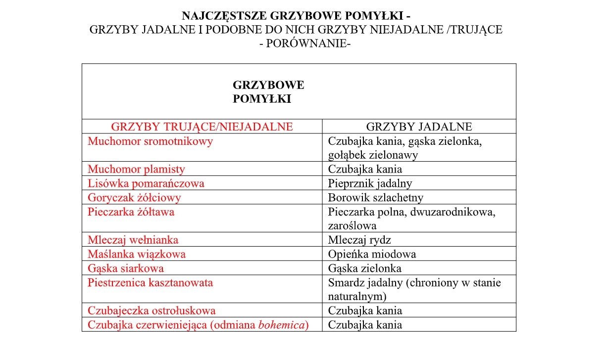 Łatwo o pomyłkę podczas grzybobrania