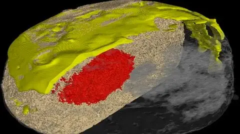 Zdjęcie wykonane w Laboratorium Mikro i Nano Tomografii, Wydział Fizyki i Informatyki Stosowanej;