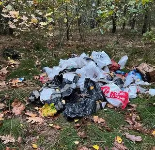 Mężczyzna odpowie za wyrzucanie śmieci w lesie