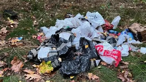 Mężczyzna odpowie za wyrzucanie śmieci w lesie