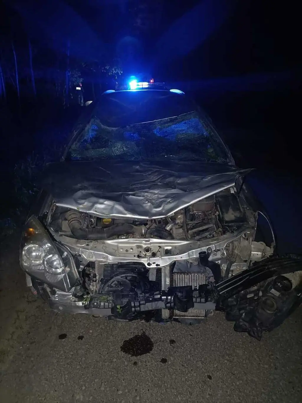 Samochód zderzył się z żubrem