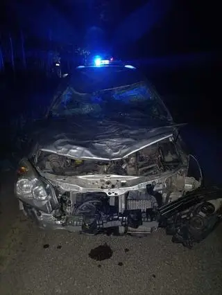 Samochód zderzył się z żubrem