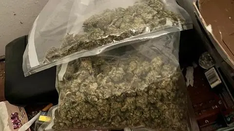 Mężczyzna miał w domu narkotyki