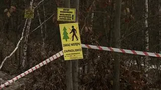 Gmina Bolesław - zakaz wstępu do lasu