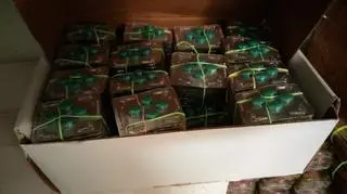 Grupą miał kierować 31-letni Kamil K. z Podkarpacia