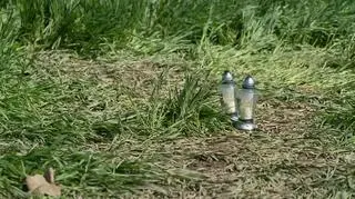 Dwa ciała odnaleziono w samochodzie