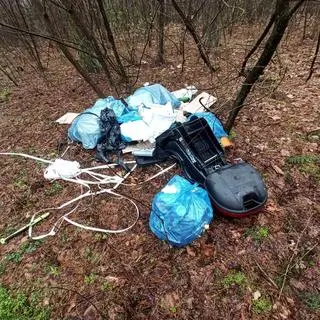 Nielegalne wysypisko w lesie