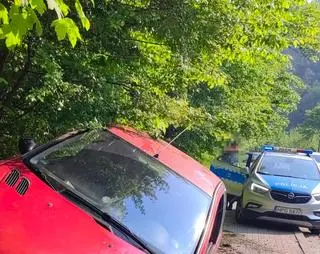 Rajd bez prawa jazdy