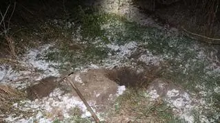 Policjanci wyciągnęli z dołu cztery szczeniaki