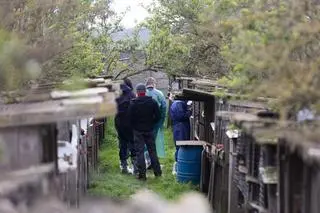 Interwencja na fermie w Kościanie
