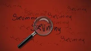 Jak przebiega badanie dokumentów?