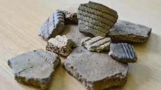 Na razie leśnicy nie zdradzają, gdzie dokładnie znaleziono artefakty