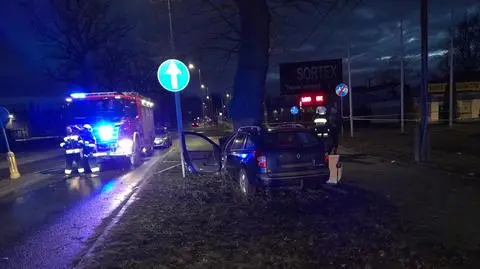 Samochód z rodziną uderzył w drzewo. Pięcioletnia dziewczynka zmarła w szpitalu