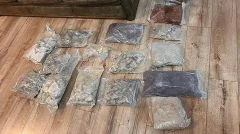 Cztery osoby zostały zatrzymane i usłyszały zarzuty